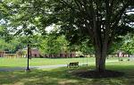 Summer LC quad with tree swing and bench