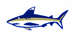 地标学院的吉祥物:鲨鱼芬恩. 被录取学生周寻宝游戏的一部分